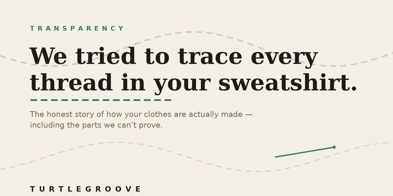 TURTLEGROOVE | We Tried to Trace Every Thread in Your Sweatshirt — Here's What We Found