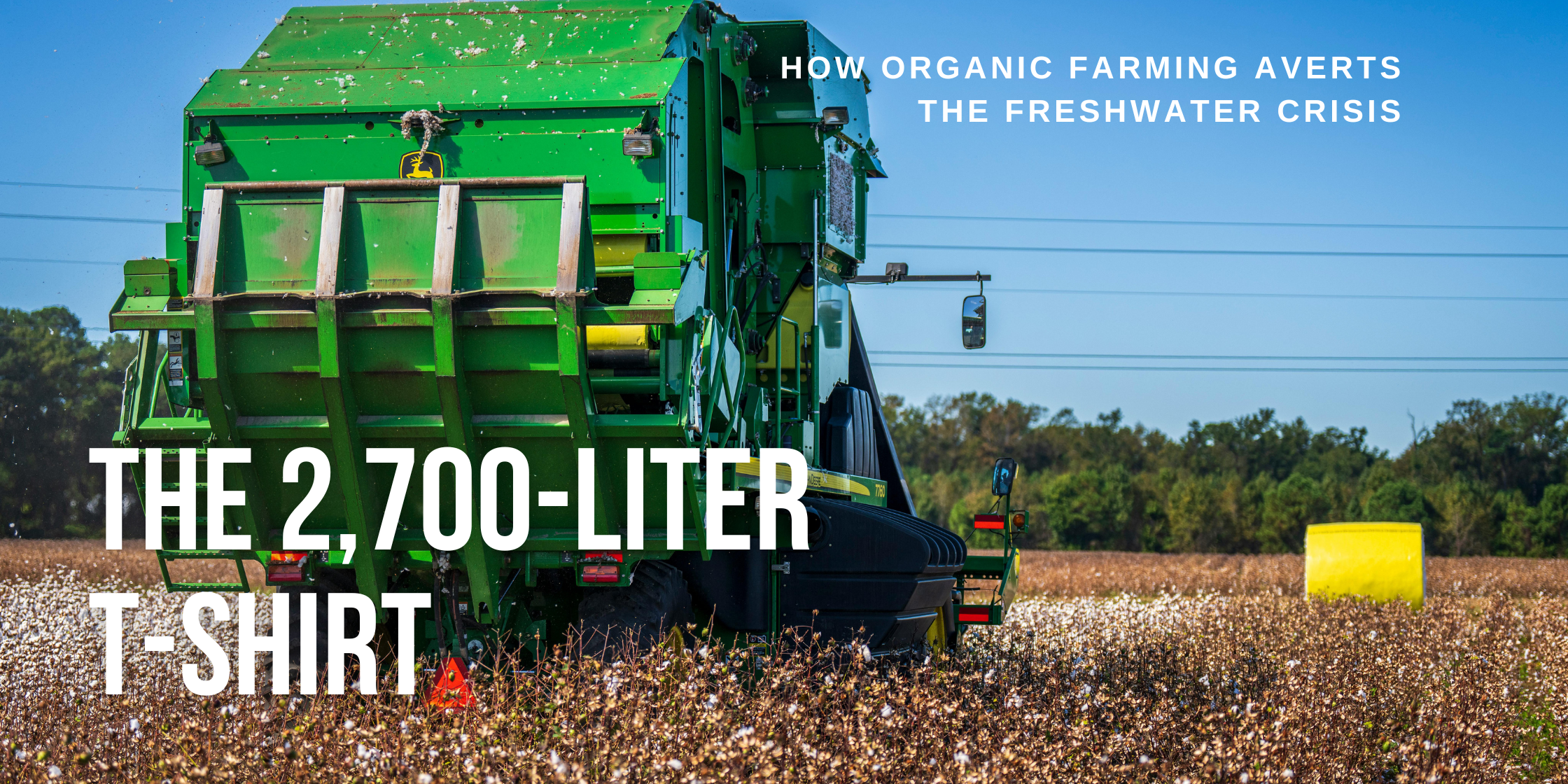 The 2,700-Liter T-Shirt: How Organic Farming Averts the Freshwater Crisis