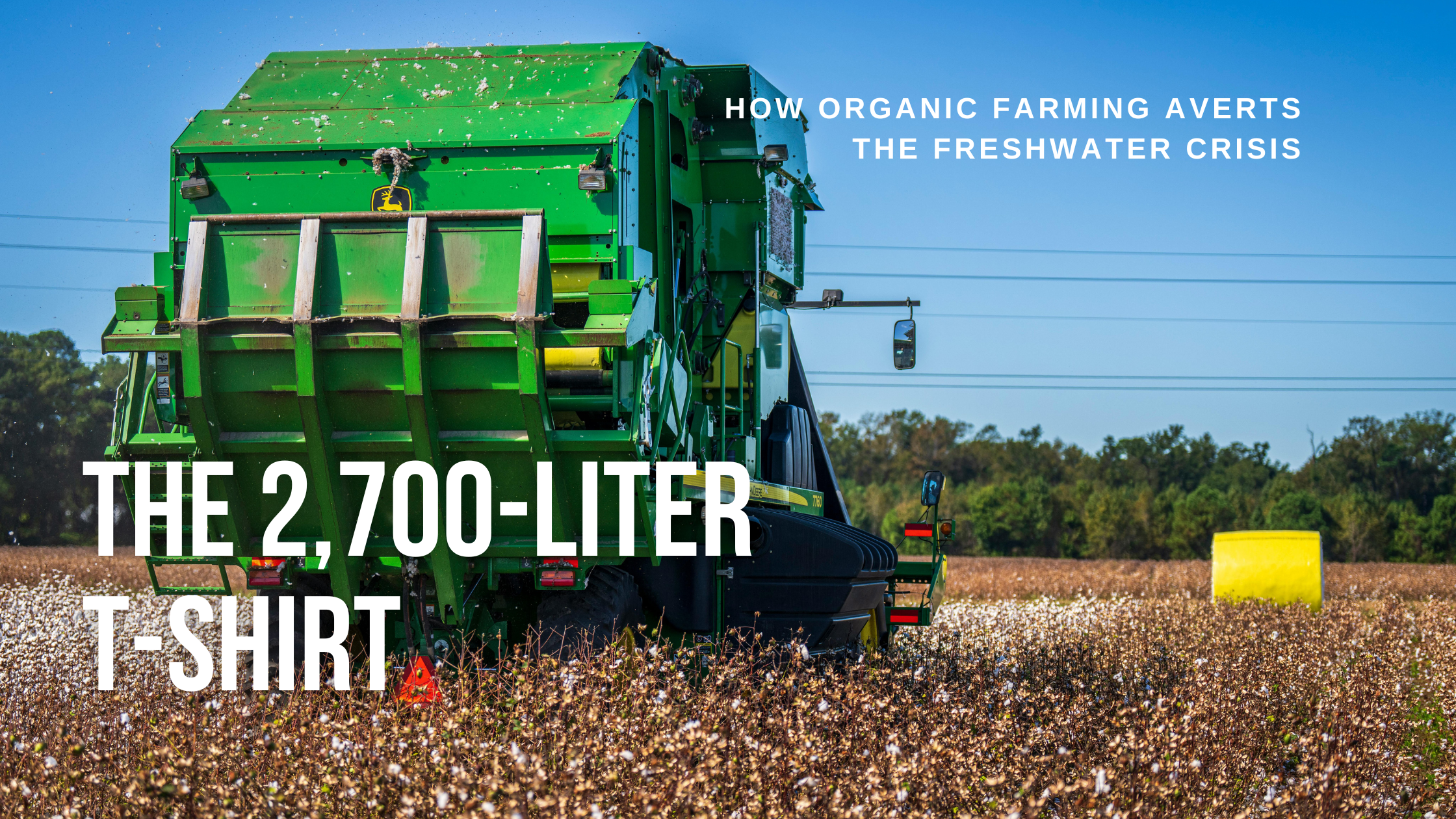 The 2,700-Liter T-Shirt: How Organic Farming Averts the Freshwater Crisis
