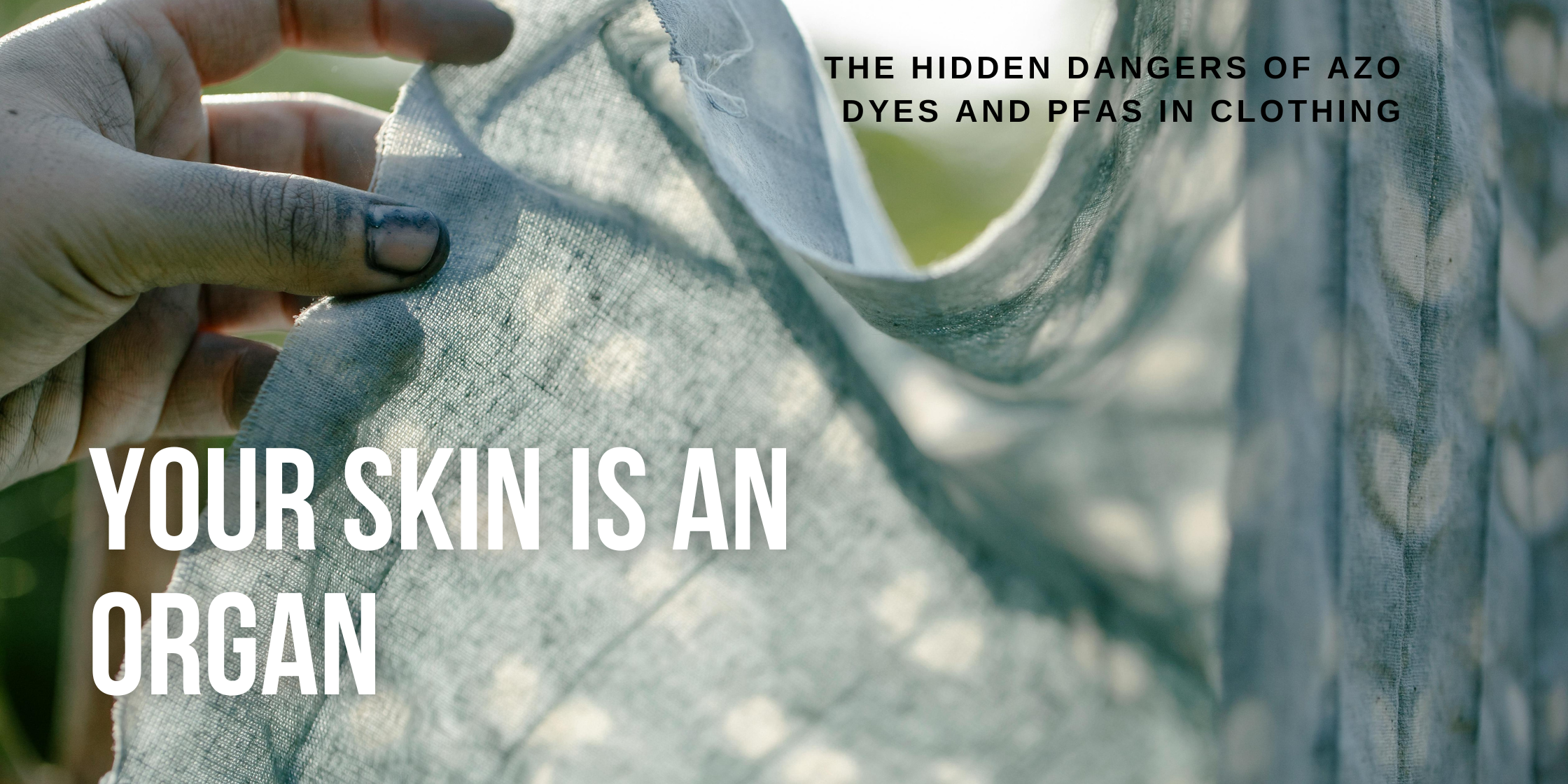 Your Skin is an Organ: The Hidden Dangers of Azo Dyes and PFAS in Clothing