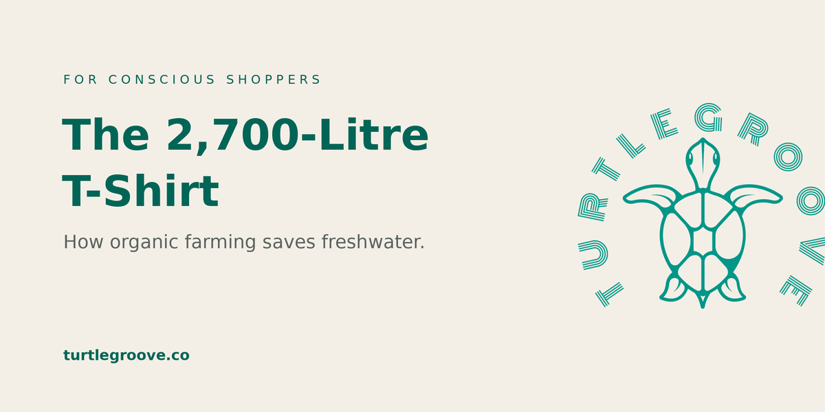 The 2,700-litre t-shirt — how organic cotton farming saves water