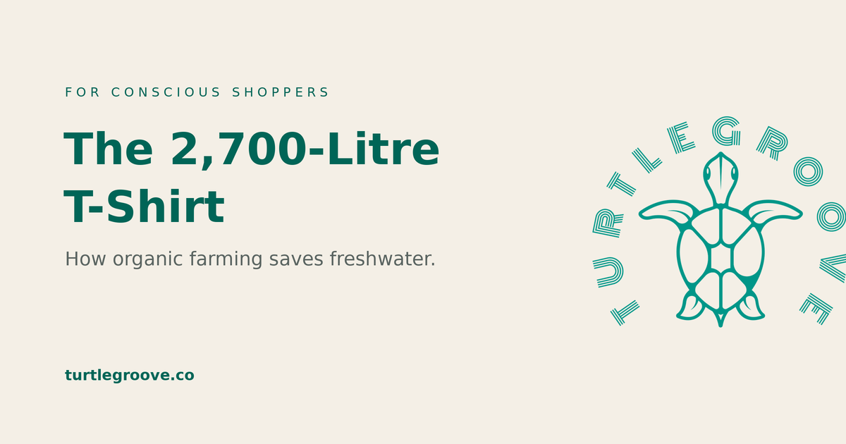 The 2,700-litre t-shirt — how organic cotton farming saves water