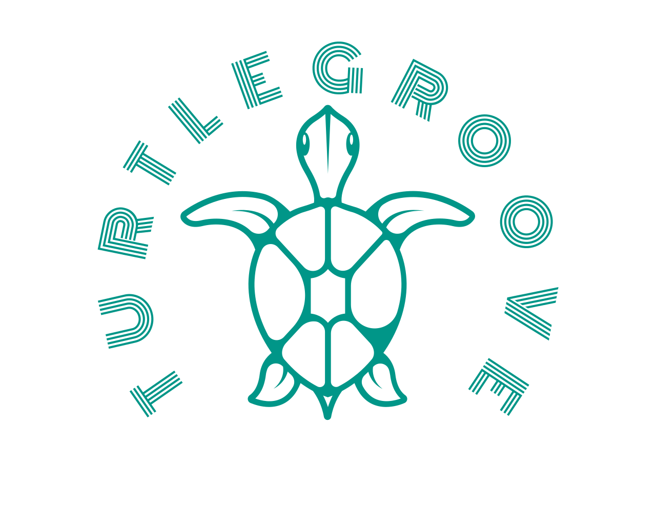 TURTLEGROOVE