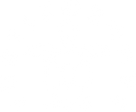 TURTLEGROOVE